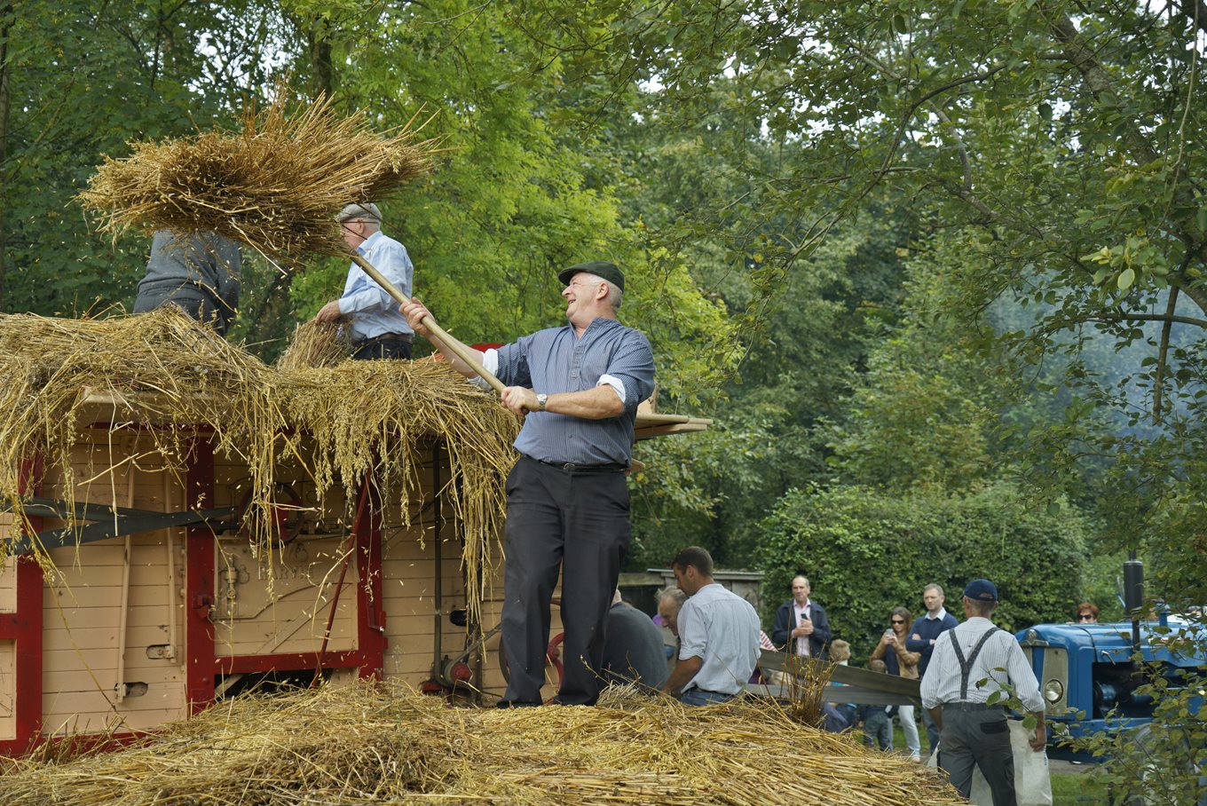 Traditional Harvest Day Makes Long Awaited Return To Bunratty