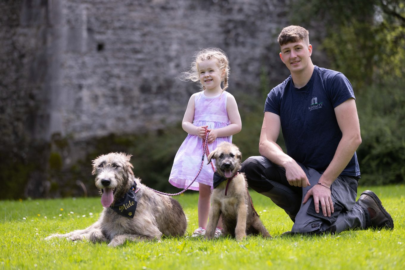 Irish Wolfhounds return to Bunratty Castle and Folk Park 